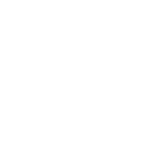 ArcStore logo