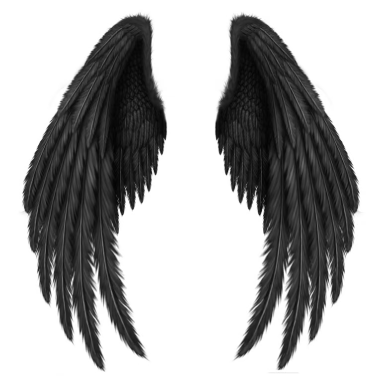 Elysium Products logo